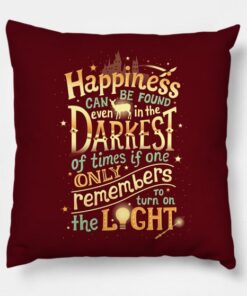 Happiness Harry Potter Pillow Case
